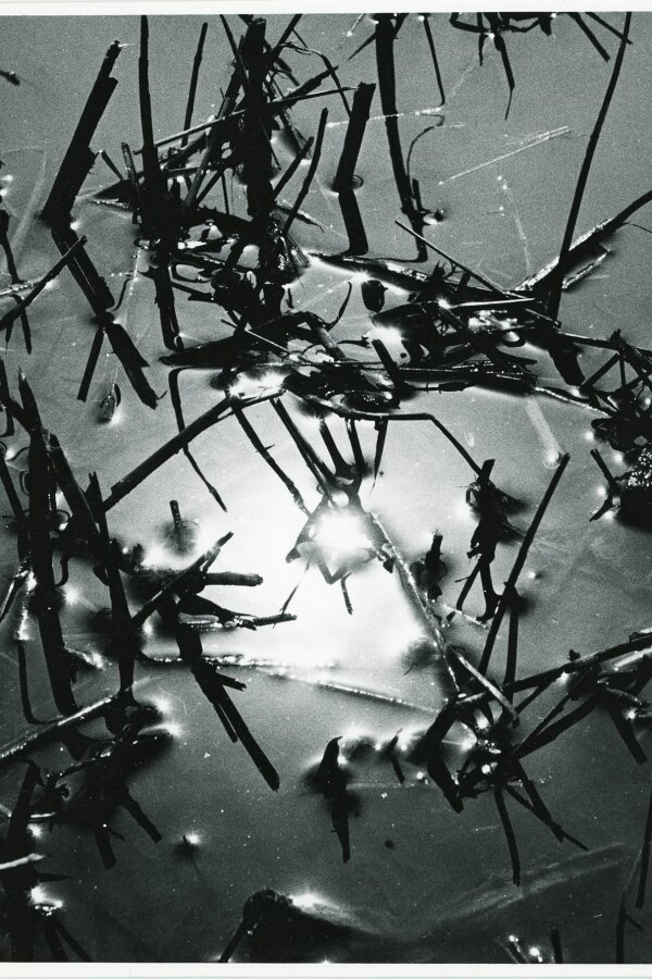 Camargue inconnue, Compagne de Massy, „Creation Photographique“, 18 bis, rue Gambetta, Massy